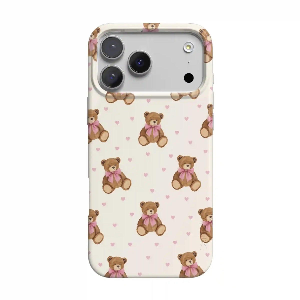 Cuddle Up | Teddy Bear Case