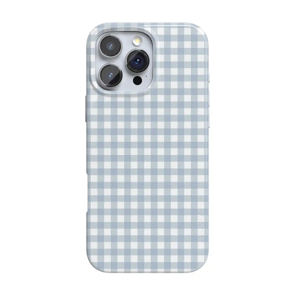 Pastel Picnic | Blue Gingham Case