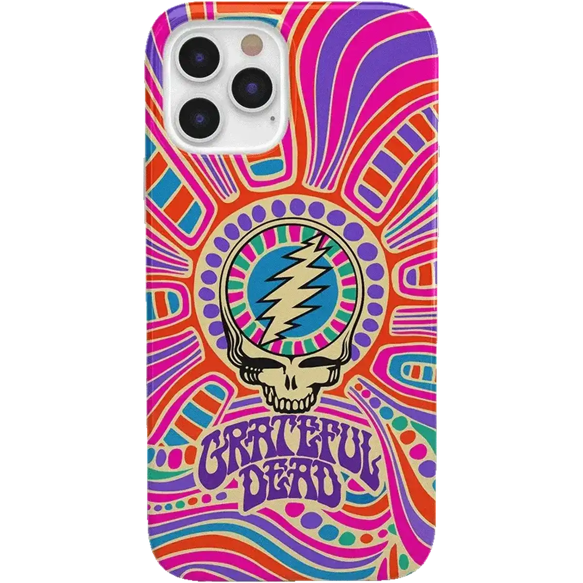 Art of Chaos | Grateful Dead Skull Case