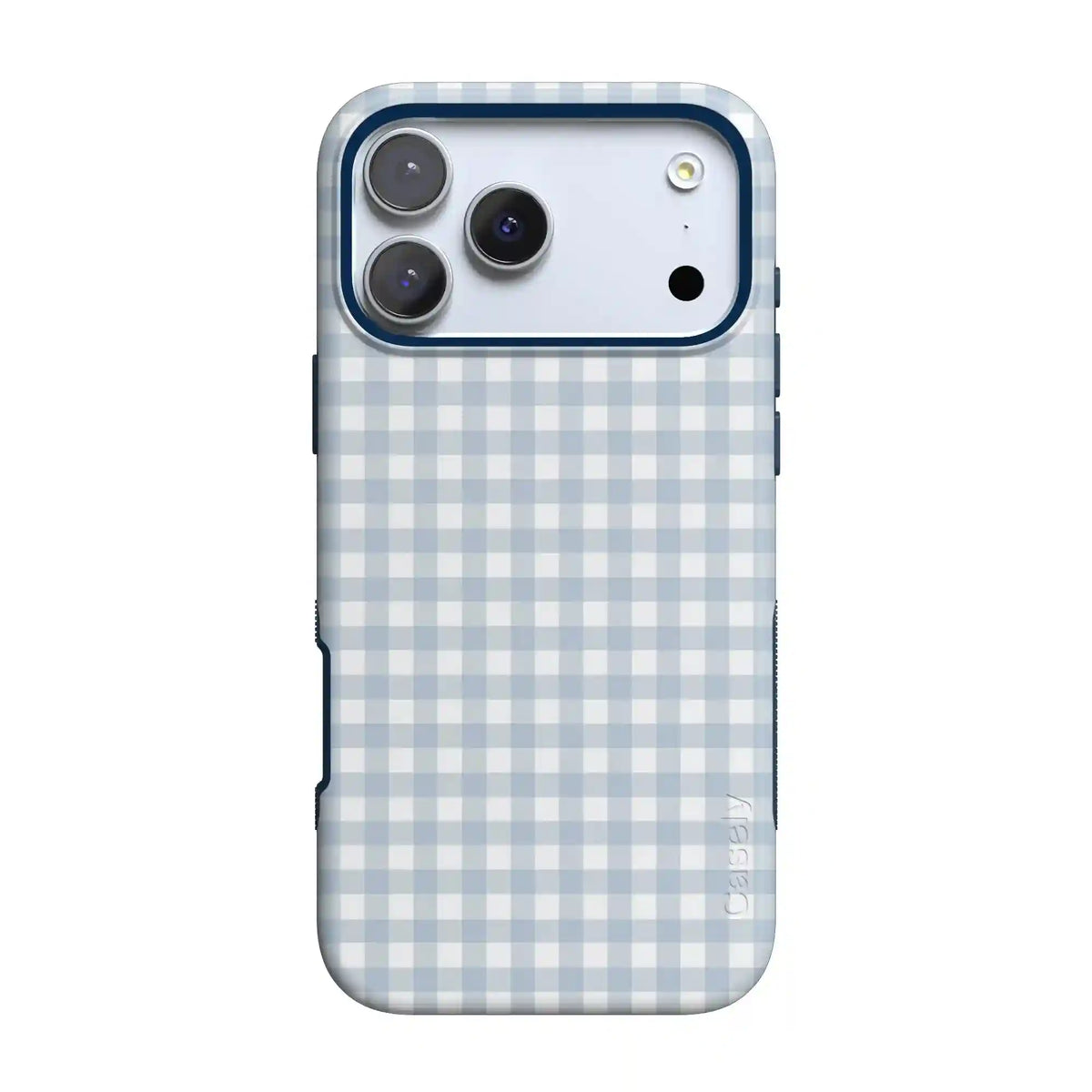 Pastel Picnic | Blue Gingham Case