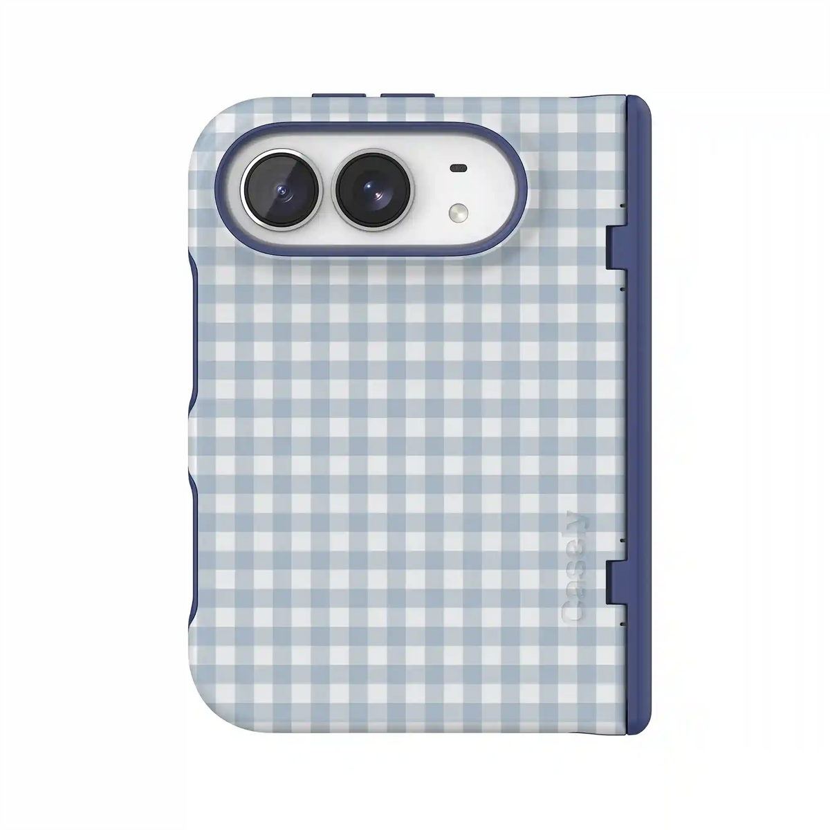 Pastel Picnic | Blue Gingham Case